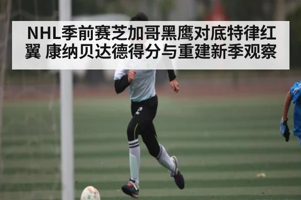 NHL季前赛芝加哥黑鹰对底特律红翼 康纳贝达德得分与重建新季观察 - kaiyun