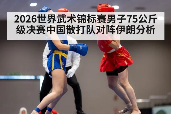 wushu sanda martial arts fight